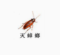 南京灭蟑螂公司哪家好